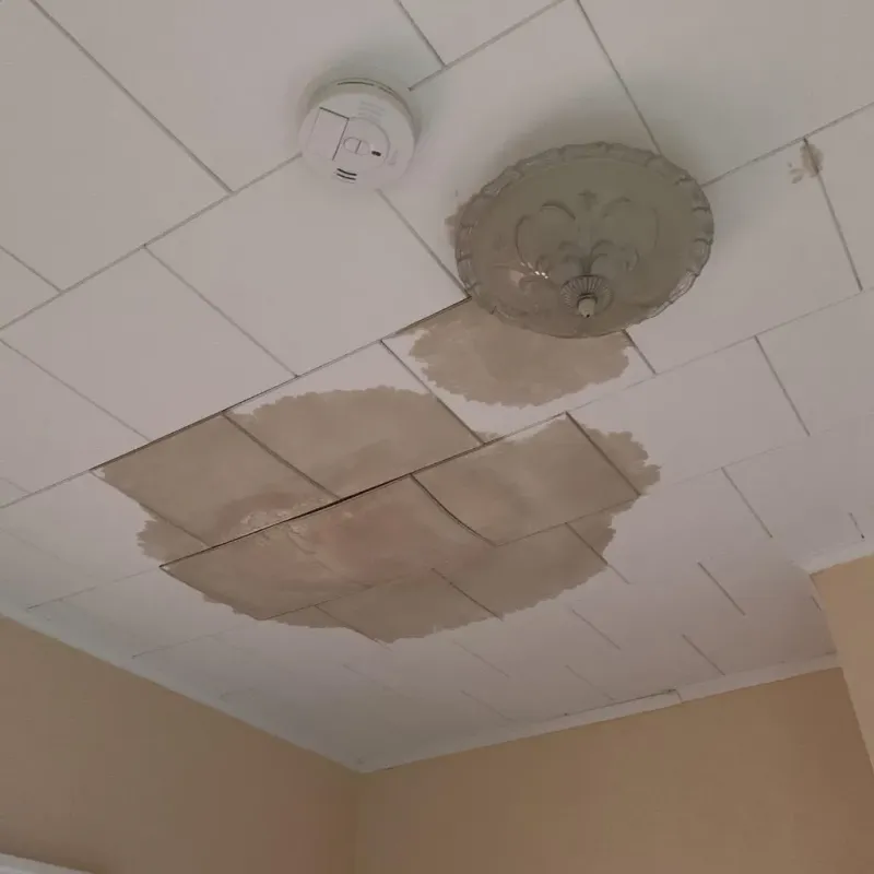 Ceiling Water Damage Repair in Sharpsville, PA