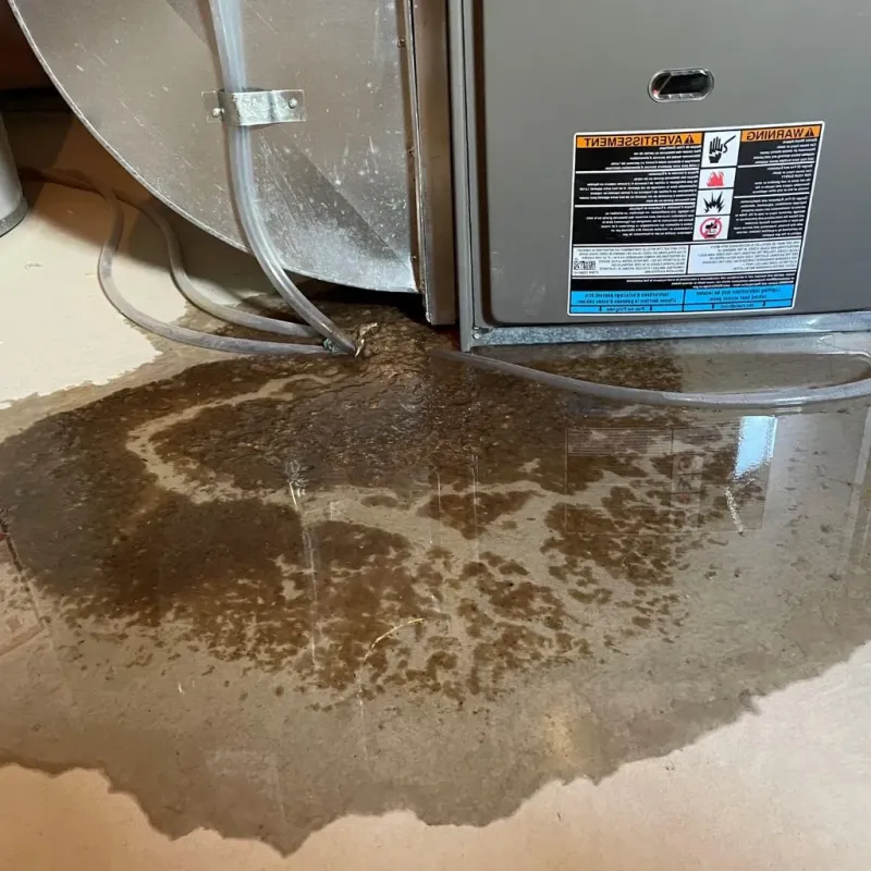 Pipe Burst and Leak Restoration in Sharpsville, PA