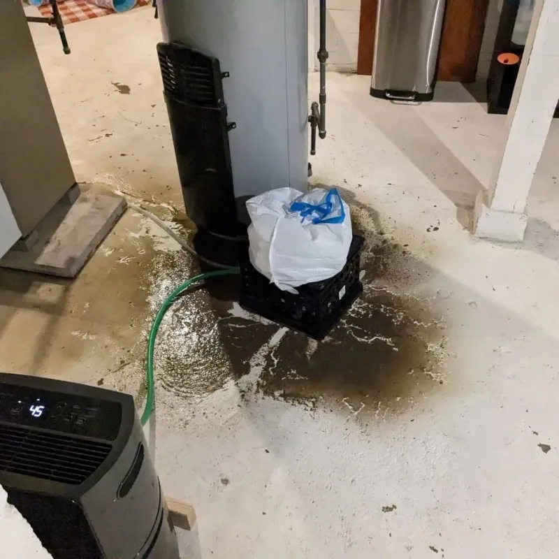 Sewage Backup Cleanup Service in Sharpsville, PA